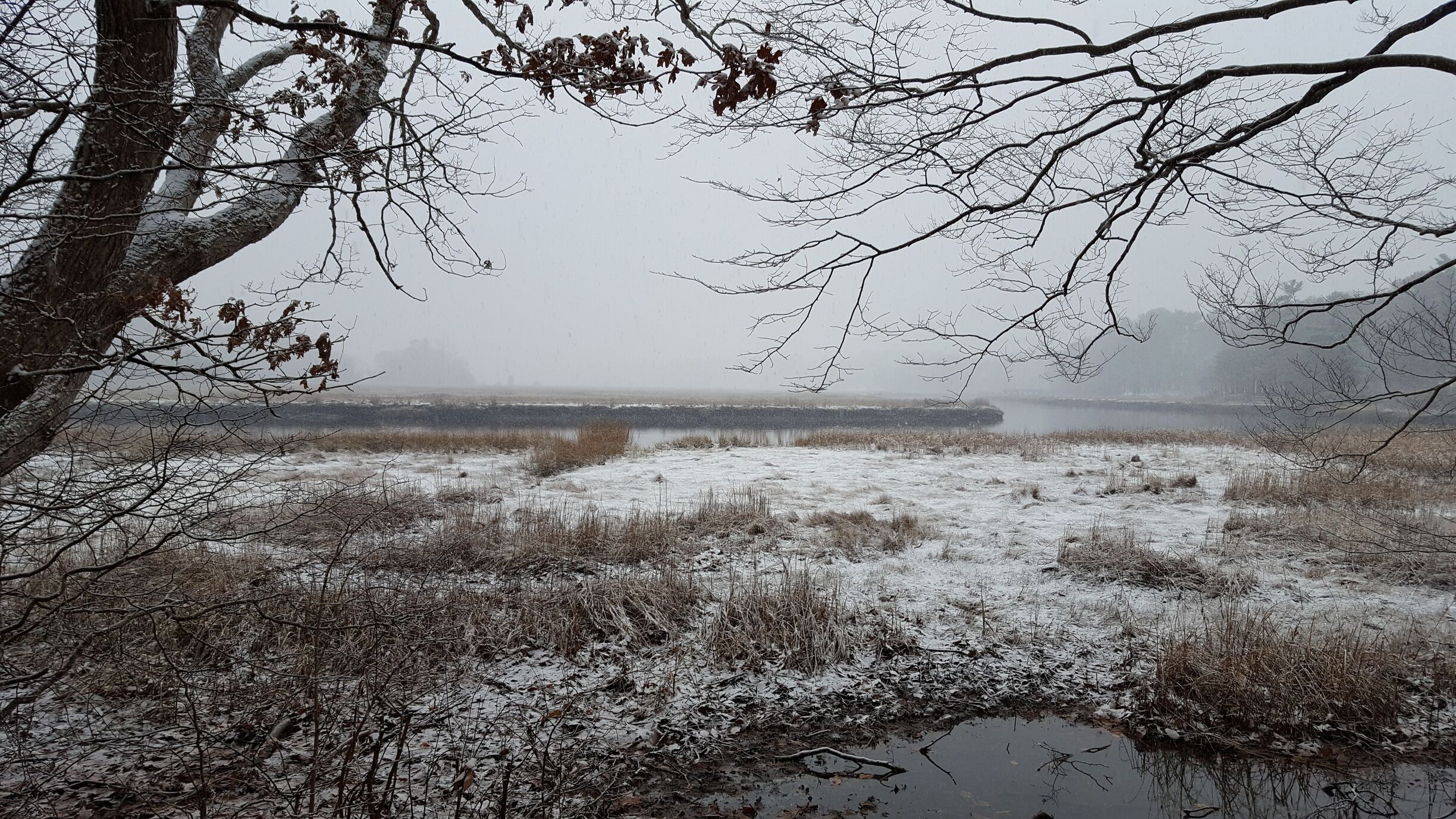 The North River on a snowy day in December.  Viewed form the southern end of the River Loop Trail in Norris Reservation.