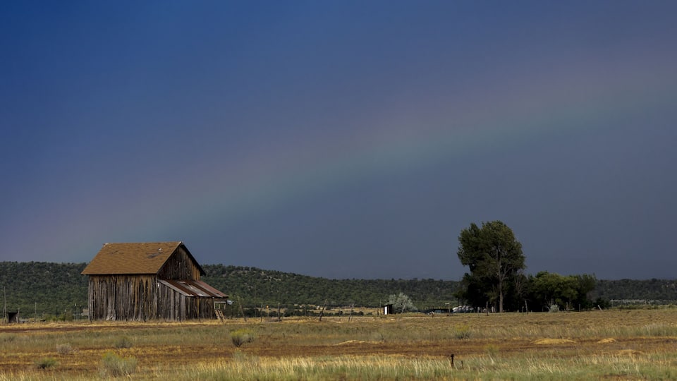 A rural landscape with a dilapidated barn, a tree, and a distant hill.