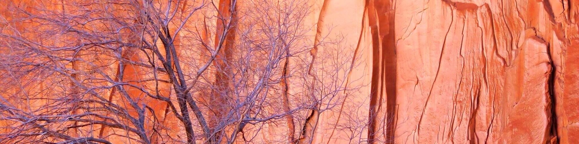 Near the rodeo stadium