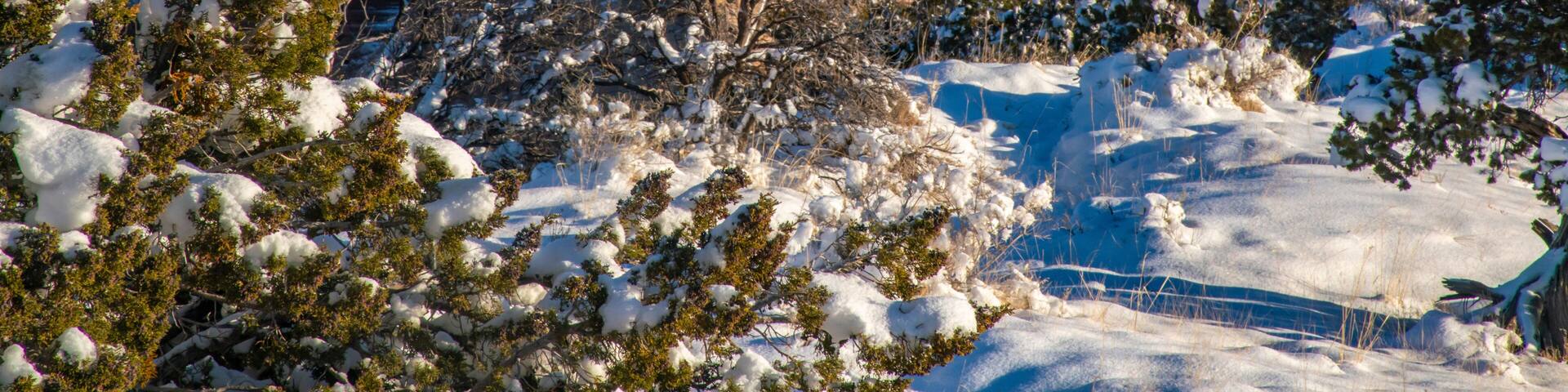 USA, New Mexico, Gallup, Red Rock Park. Church Rock in winter sunrise.