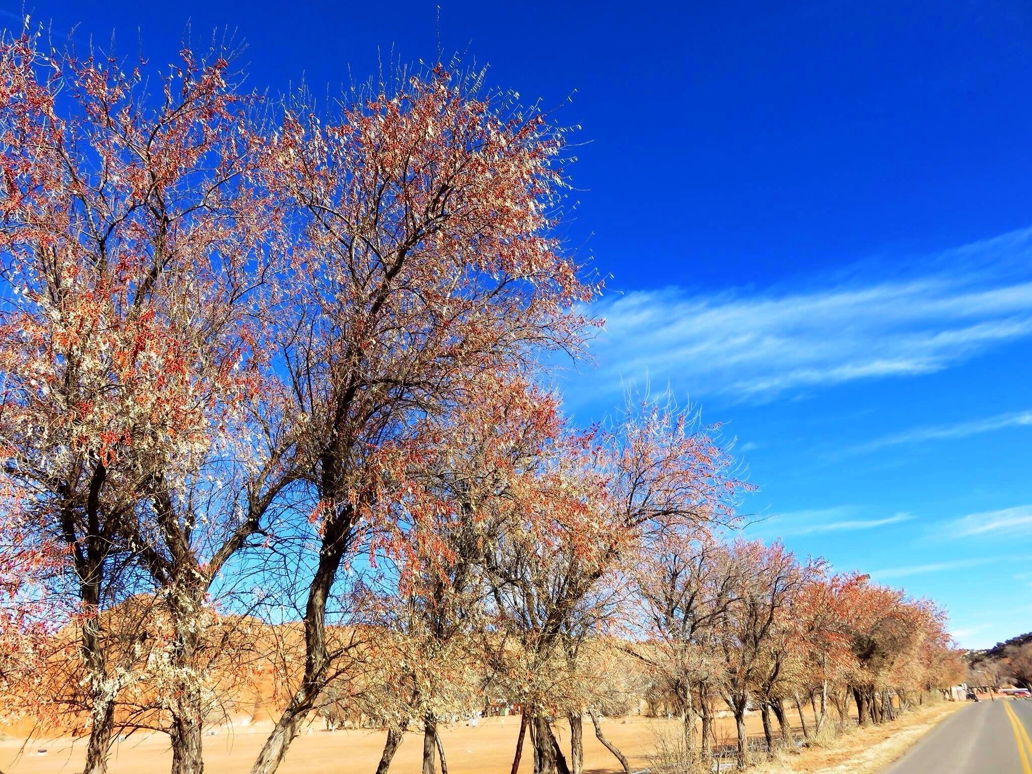 Entrance to the park