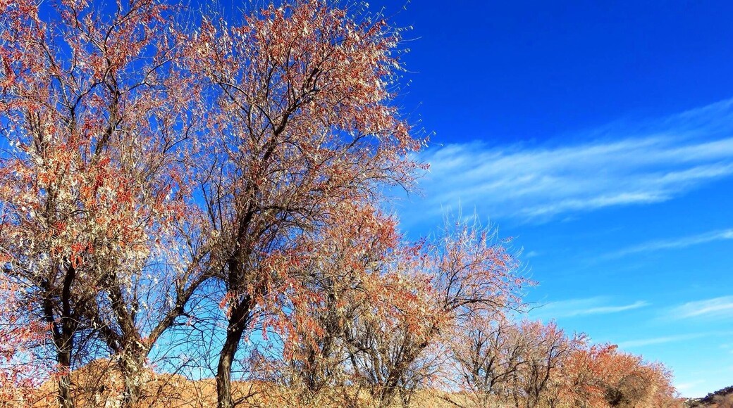 Entrance to the park