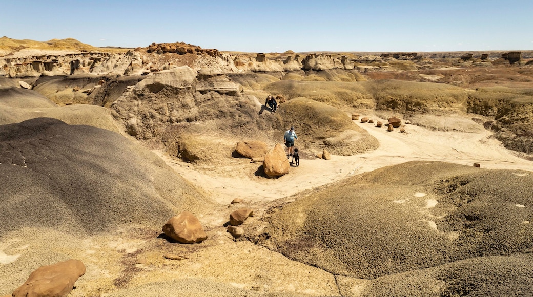 Bisti Badlands rock formation