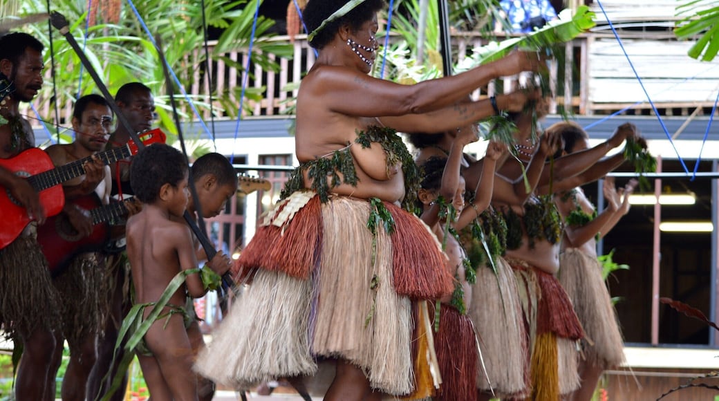 Each November In Alotau 150 tribes from all over PNG come to Alotau in celebration of the culture and hold a massive festival. Here is a snippet of the photos from some of the rare tribes from around PNG.