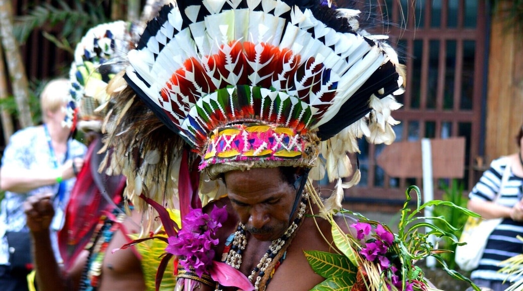 Each November In Alotau 150 tribes from all over PNG come to Alotau in celebration of the culture and hold a massive festival. Here is a snippet of the photos from some of the rare tribes from around PNG.