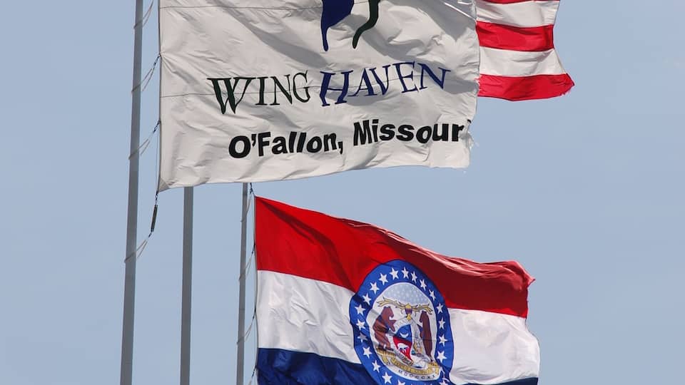 Two flags, one with a blue and white design and the other with red, white, and blue stripes, both mounted on flagpoles against a clear sky.