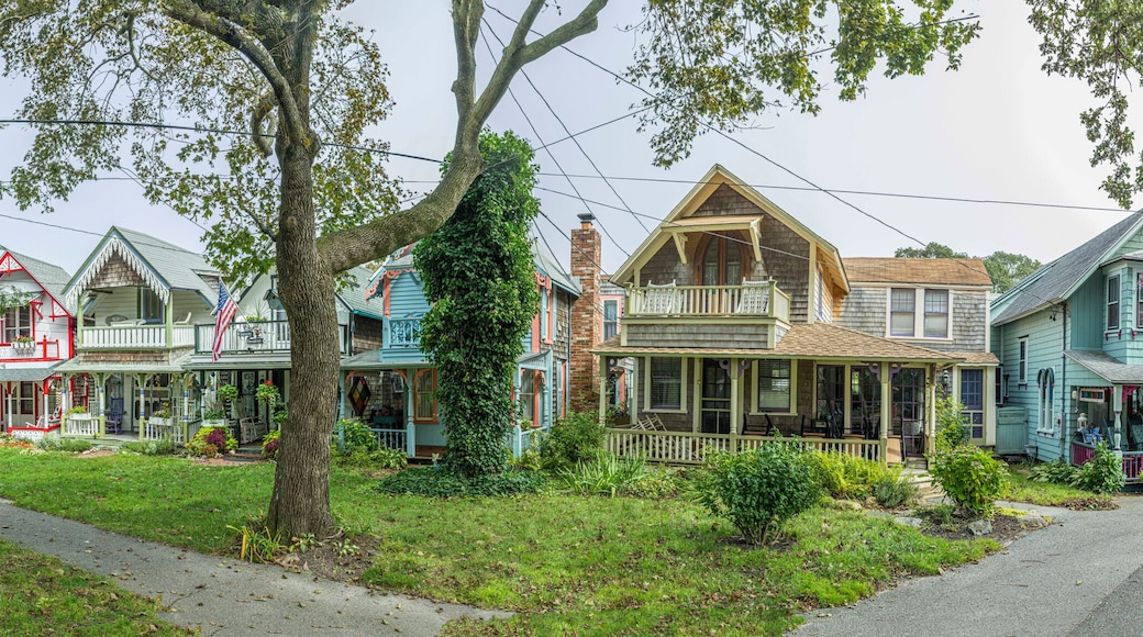 Carpenters Cottages called gingerbread houses on Lake Avenue, Oak Bluffs on Martha's Vineyard, Massachusetts, USA