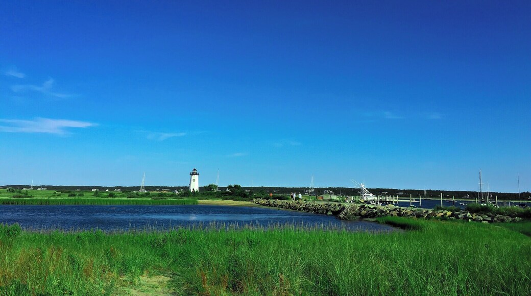 Sandy beaches, farmlands, fishing docks, harbor towns and tall lighthouses, Its Martha's Vineyard! It is around an hour of boat ride from Cape Cod to the Oak Bluffs. MV accessible only by boat or air.
This picture was of course taken in summer :) Bright sunny day with blue sky and lush green. In the background is the famous east chop lighthouse. The best of my memories of MV are from East Chop. We rented a bright Red scooter near the Oak Bluffs harbor after getting off from ferry, kicked off our slippers, rode to the sunset ;) I meant we drove to East Chop:)
Must Do : Get that pretty but awfully slow red scooter, drive to the light house, live the dream :)