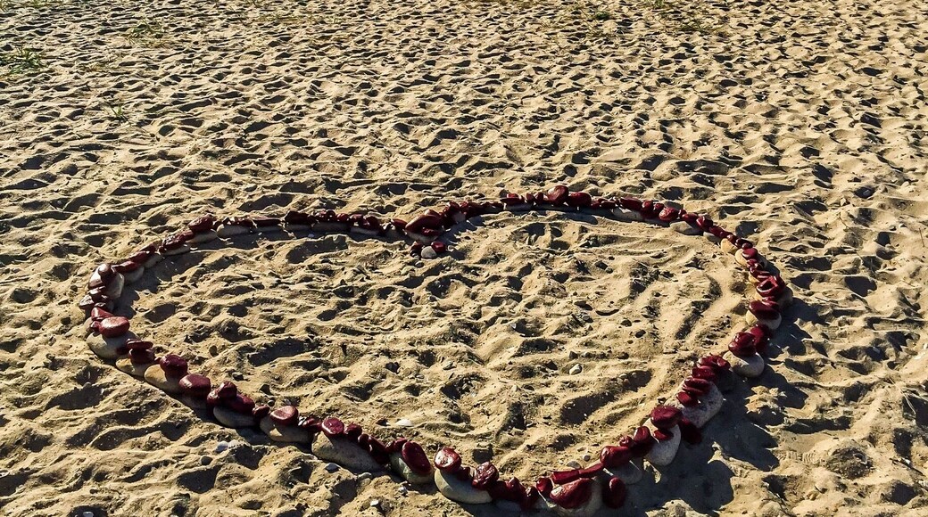 Beaches on Martha's Vineyard are a popular tourist attraction. But don't miss out on East Chop Lighthouse overlooking Vineyard Haven Harbor in the town of Oak Bluffs in Martha's Vineyard. It's prefect for spending a few hours at leisure and getting some colorful bright pictures!