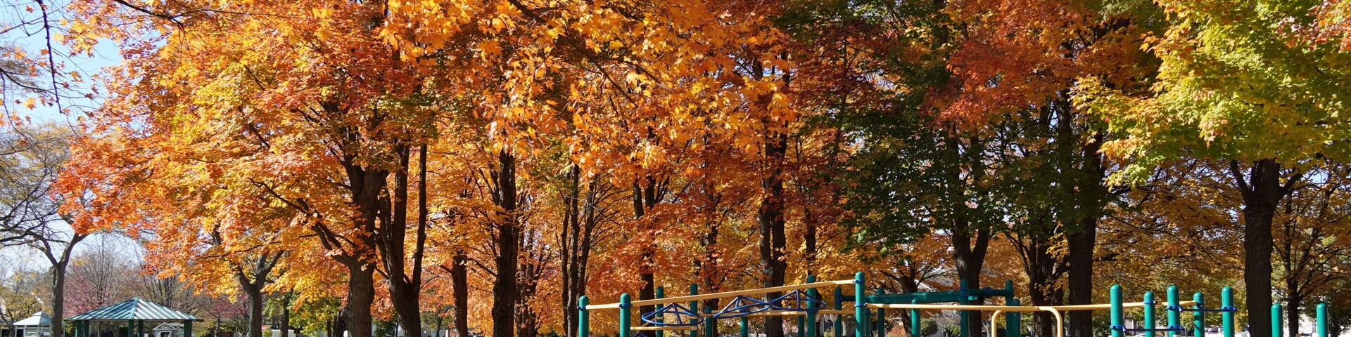 Grosse Point Park located in Vernon Hills, USA 10272024