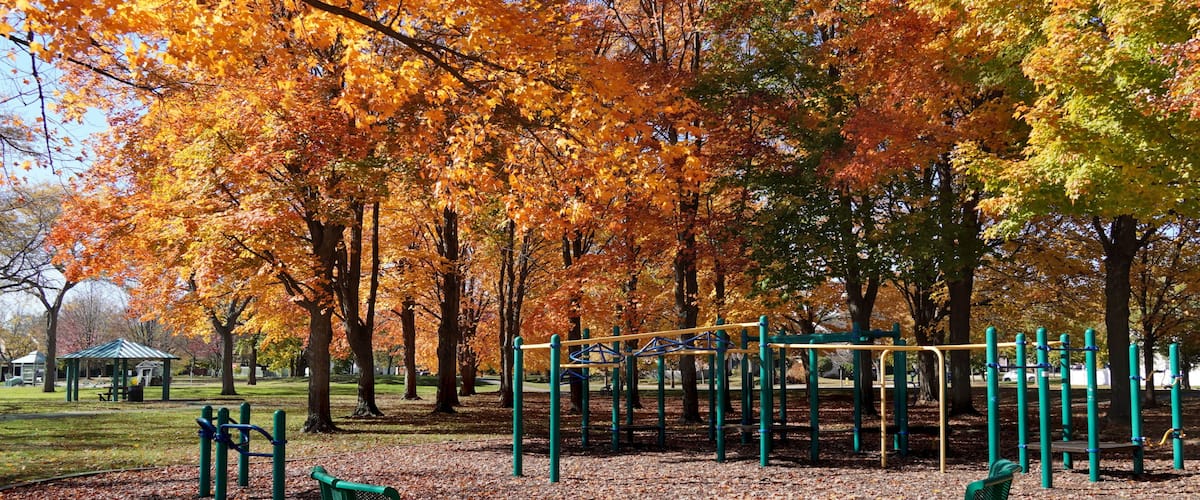 A park with autumn trees, a playground, and green benches.