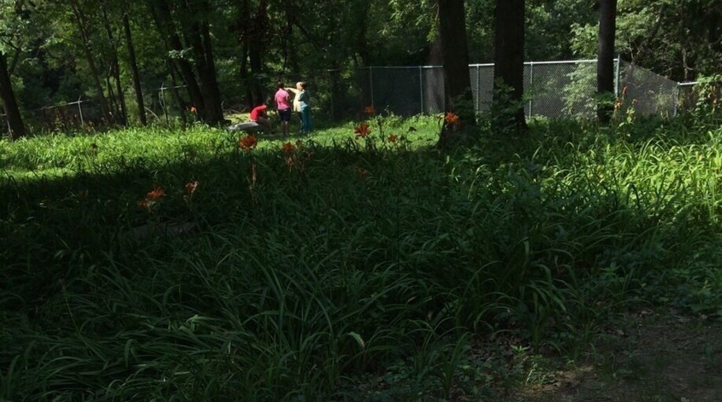 Old Cemetary that holds a reputation as one of the world's most haunted. No trespassing after sunset.