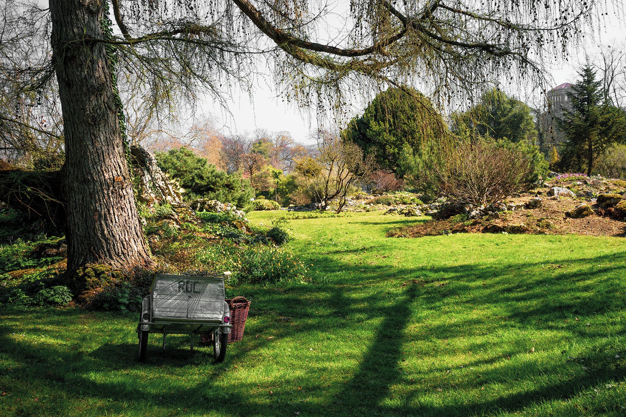 Now comes the season to enjoy the spring time in the garden.