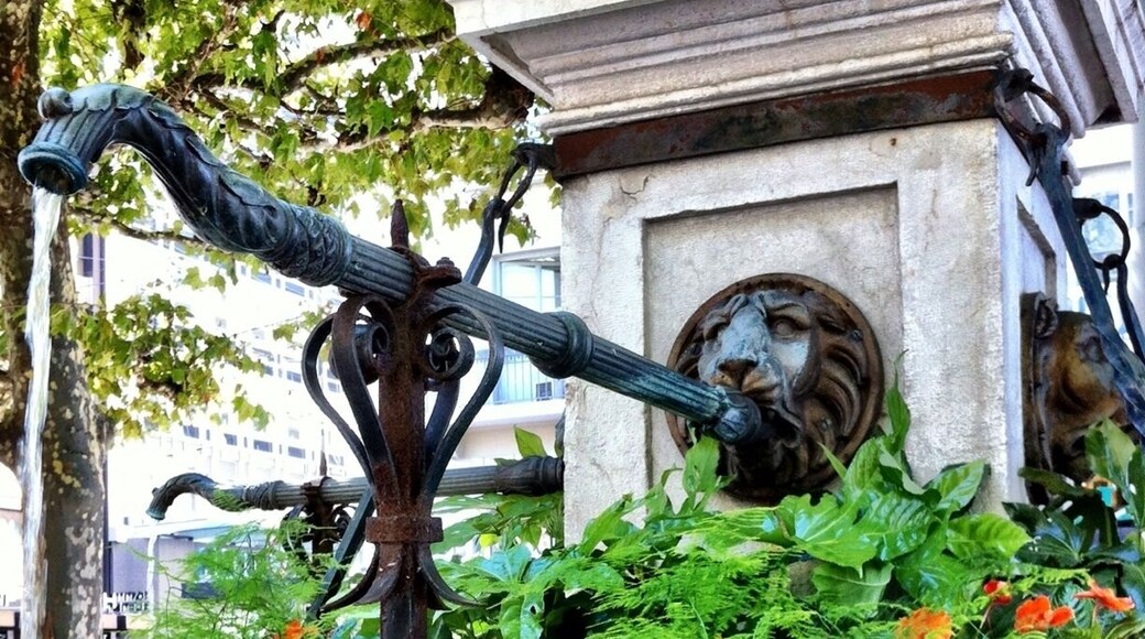 Les jolies petites fontaines fleuries de Genève.
On les croise souvent dans la ville, toutes sur le même modèle.