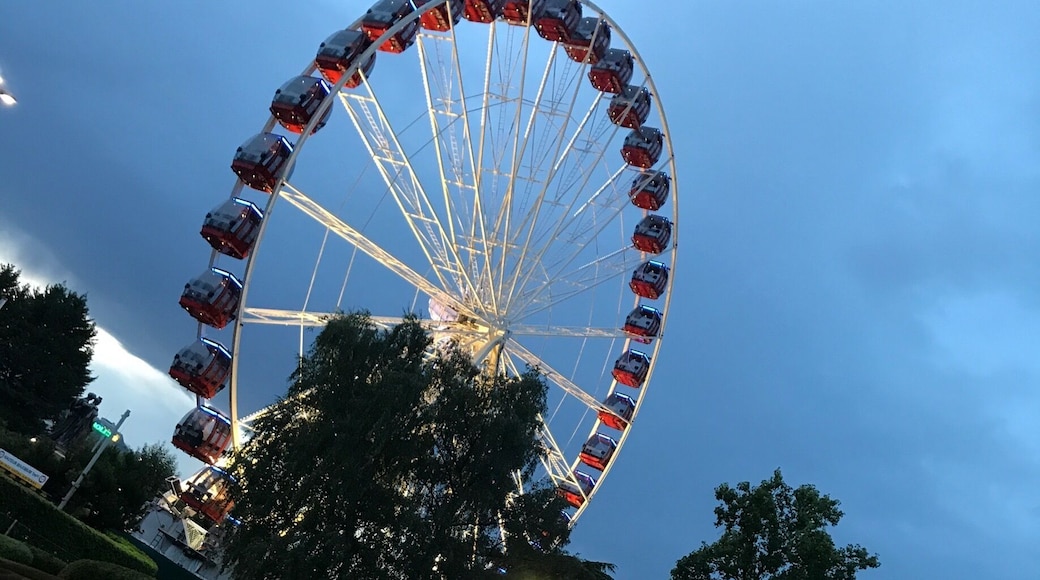 Flower Clock & Big Wheel, Jardin Anglais, Geneva, Switzerland 🇨🇭
