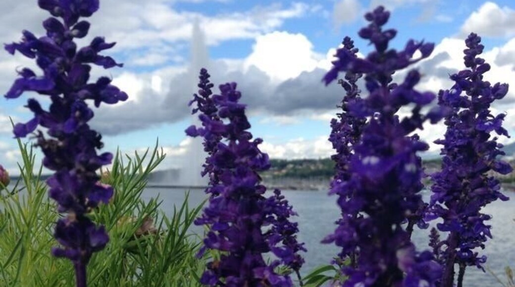 The sheer beauty of geneva takes upon your soul ❤️