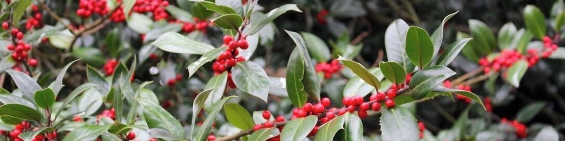 such a beautiful spot no matter the season!