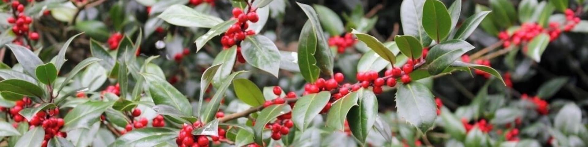 such a beautiful spot no matter the season!