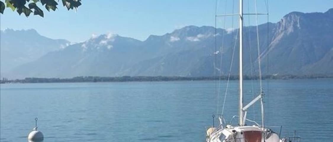 Un voilier est amarré près d’une côte, avec des fleurs rouges et des montagnes en arrière-plan.