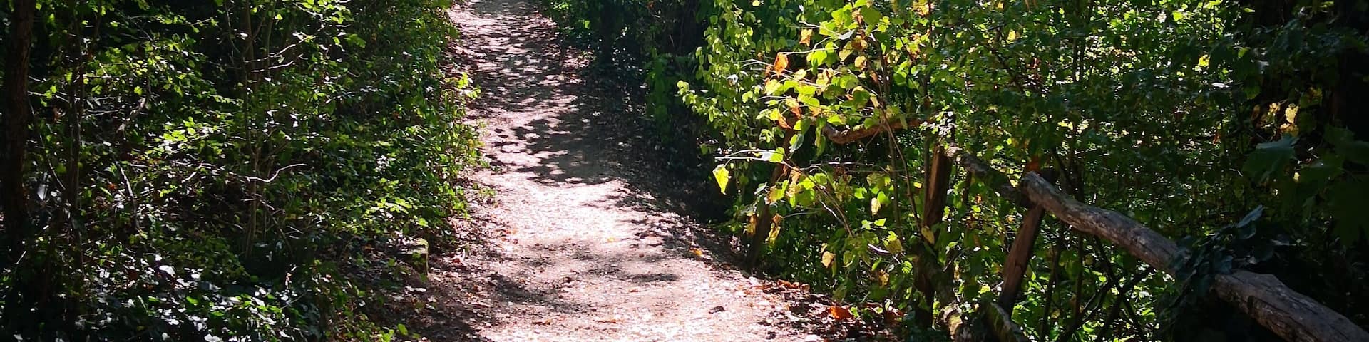 Peaceful place for a run near my workplace 😍
-
September 2018
Huawei p10 pro