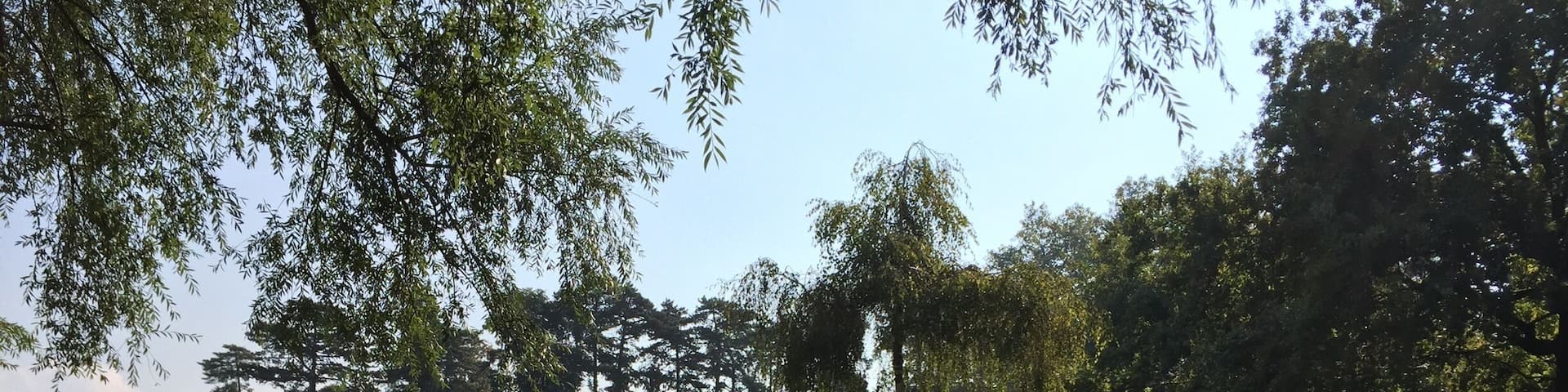 Small waterfall in the parc.
