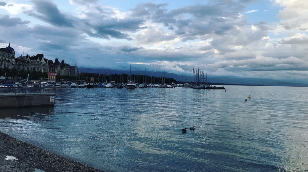 Bains des Paquis is an amazing spot in Geneva to catch some sun, take a dip, and taste some fresh Swiss produce. You’ll often have much of the lake to yourself from 8pm; perfect for a secluded dip! #bvsblue #lifeatexpedia #geneva