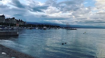 Bains des Paquis is an amazing spot in Geneva to catch some sun, take a dip, and taste some fresh Swiss produce. You’ll often have much of the lake to yourself from 8pm; perfect for a secluded dip! #bvsblue #lifeatexpedia #geneva