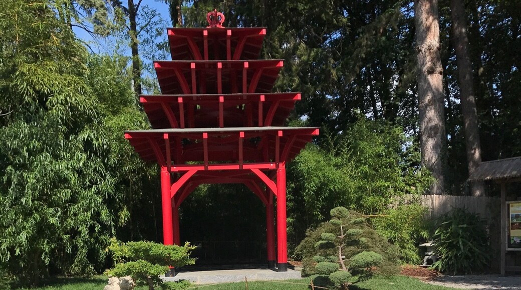 The Japanese Garden in the Botanical Gardens, Geneva, Switzerland 🇨🇭 The Gardens are free and are absolutely beautiful. If you are visiting Geneva it is worth noting that on arrival to your hotel you will receive a travel card which entitles you to free travel by train, bus, tram and boat for the duration of your stay which is just brilliant! ⛩🚇🚌🚋🛥🇨🇭