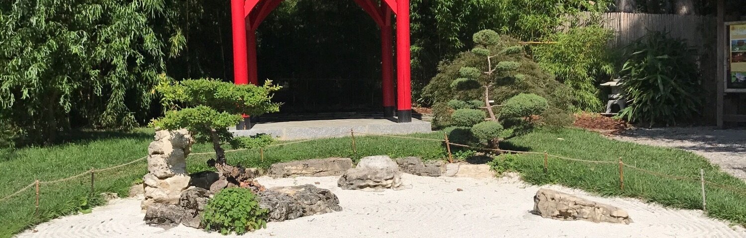 The Japanese Garden in the Botanical Gardens, Geneva, Switzerland 🇨🇭 The Gardens are free and are absolutely beautiful. If you are visiting Geneva it is worth noting that on arrival to your hotel you will receive a travel card which entitles you to free travel by train, bus, tram and boat for the duration of your stay which is just brilliant! ⛩🚇🚌🚋🛥🇨🇭