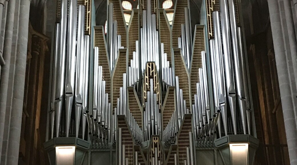 Angel organ