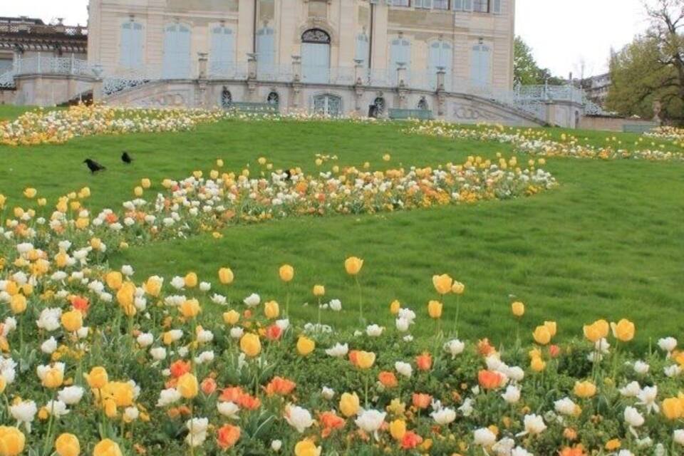 Un grand bâtiment devant lequel s’étend un jardin rempli de tulipes aux couleurs vives.