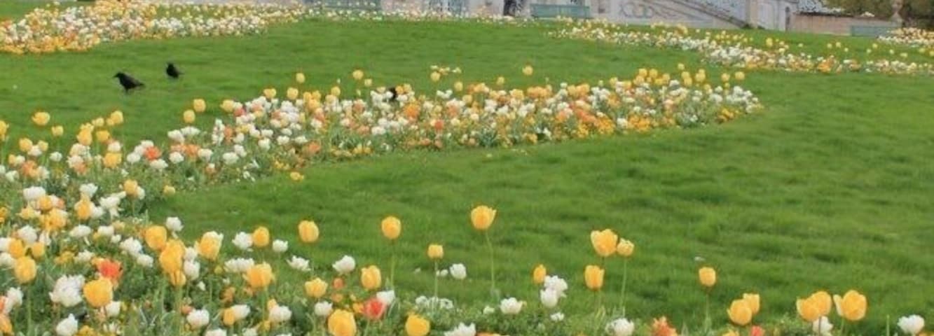 One of the most beautiful park in Geneva. Planted with roses and other kind of flowers and trees. Stroll around if you want to escape from the crowd.