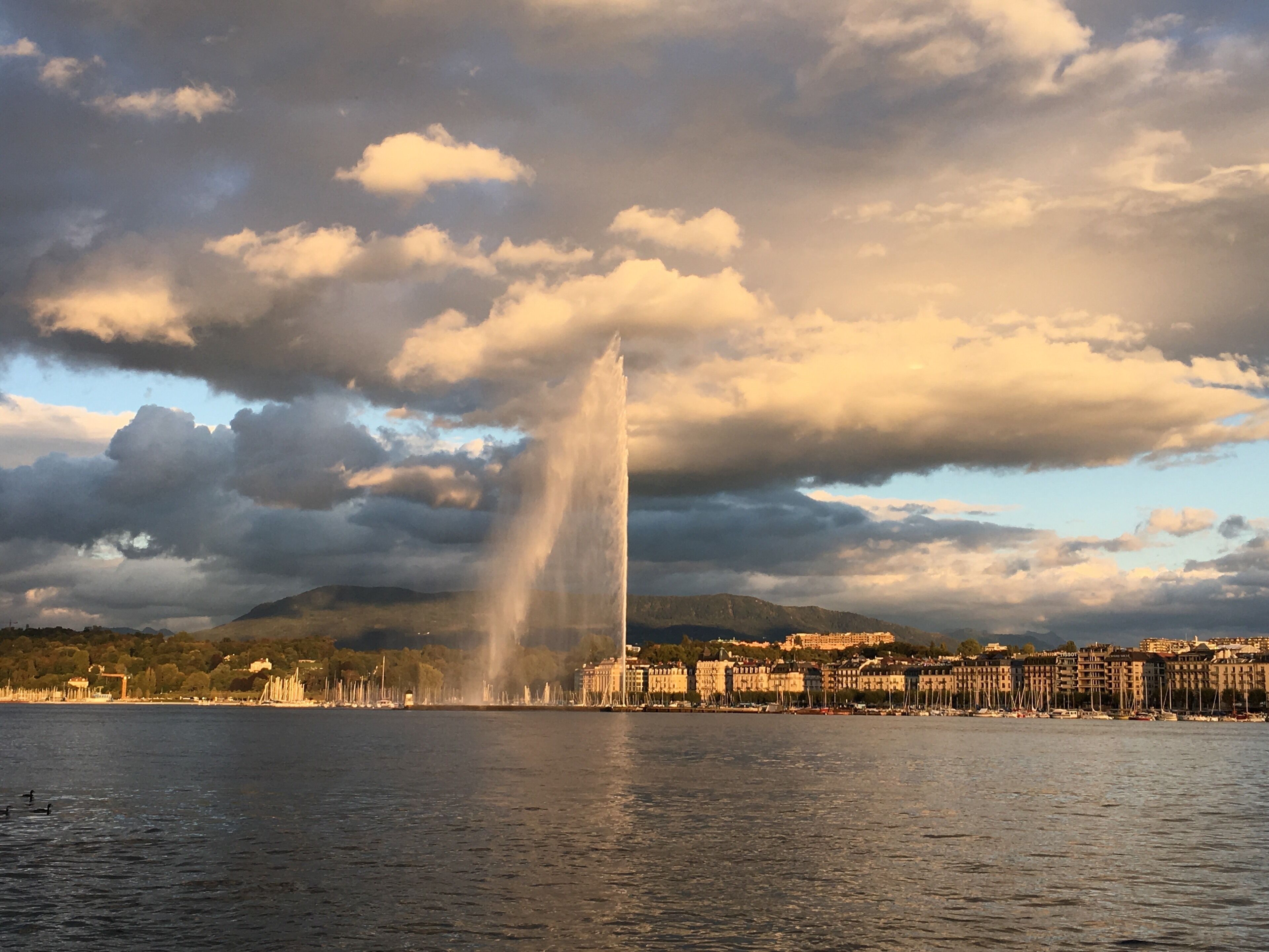 Geneva, Switzerland 
#Swiss #Switzerland