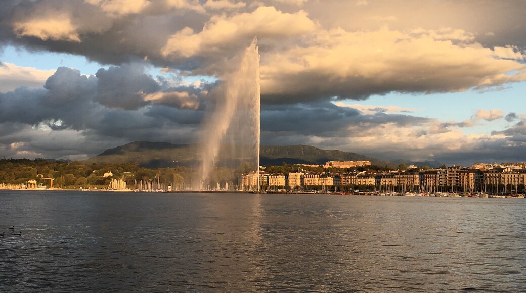 Geneva, Switzerland
#Swiss #Switzerland