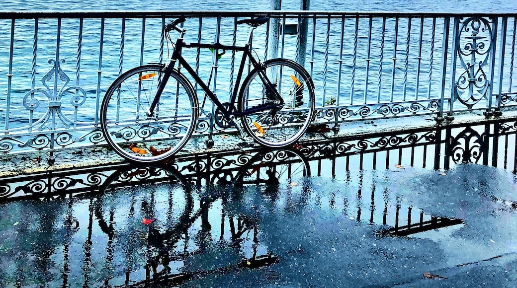 Wandering around Geneva.
#switzeraland #weekendgateway #trovember