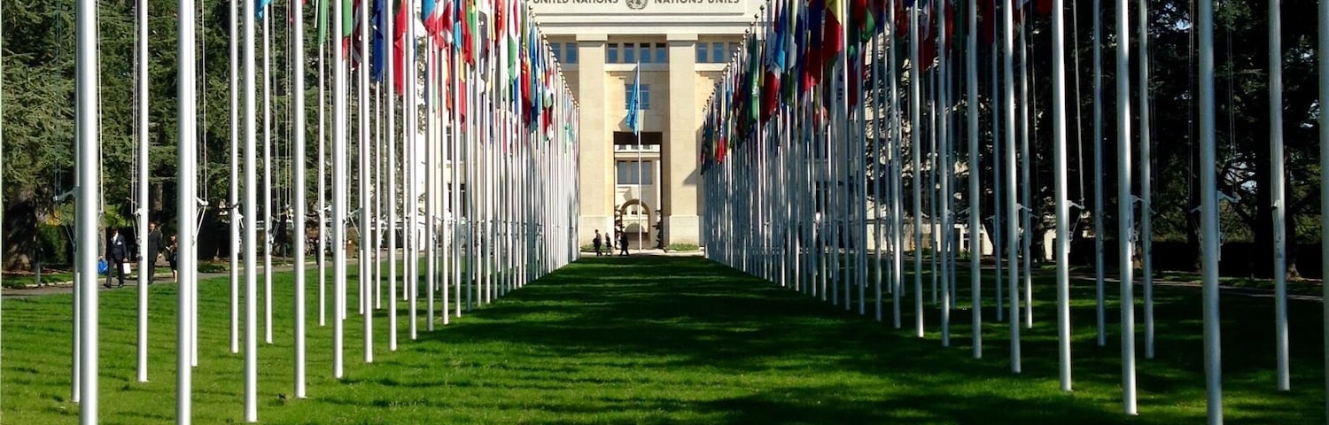 One of the coolest sights of the United Nations headquarters in Geneva is at its entrance. All the nations' flags line the front lawn of the headquarters. It is a pretty imposing sight. You can arrange for a tour of the facilities and I would recommend visiting because the building and artwork are incredible.
#unitednations #geneva #switzerland