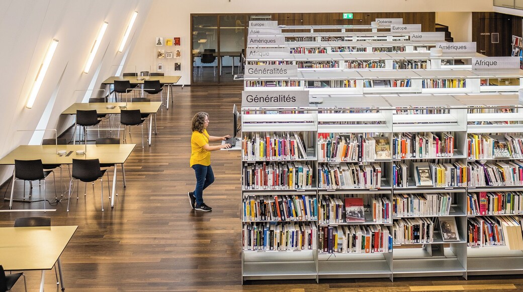 Marie-Madeleine Lancoux library, Musée d’ethnographie de Genève. Located in the triangular vault of the building’s attic, with natural light flowing in through the diamond-shaped windows, this library feels like a church-like space. Over 9000 items are accessible (out of a collection of 60000 documents) and it even features 16000 hours of ethnic and traditional music. #trovember