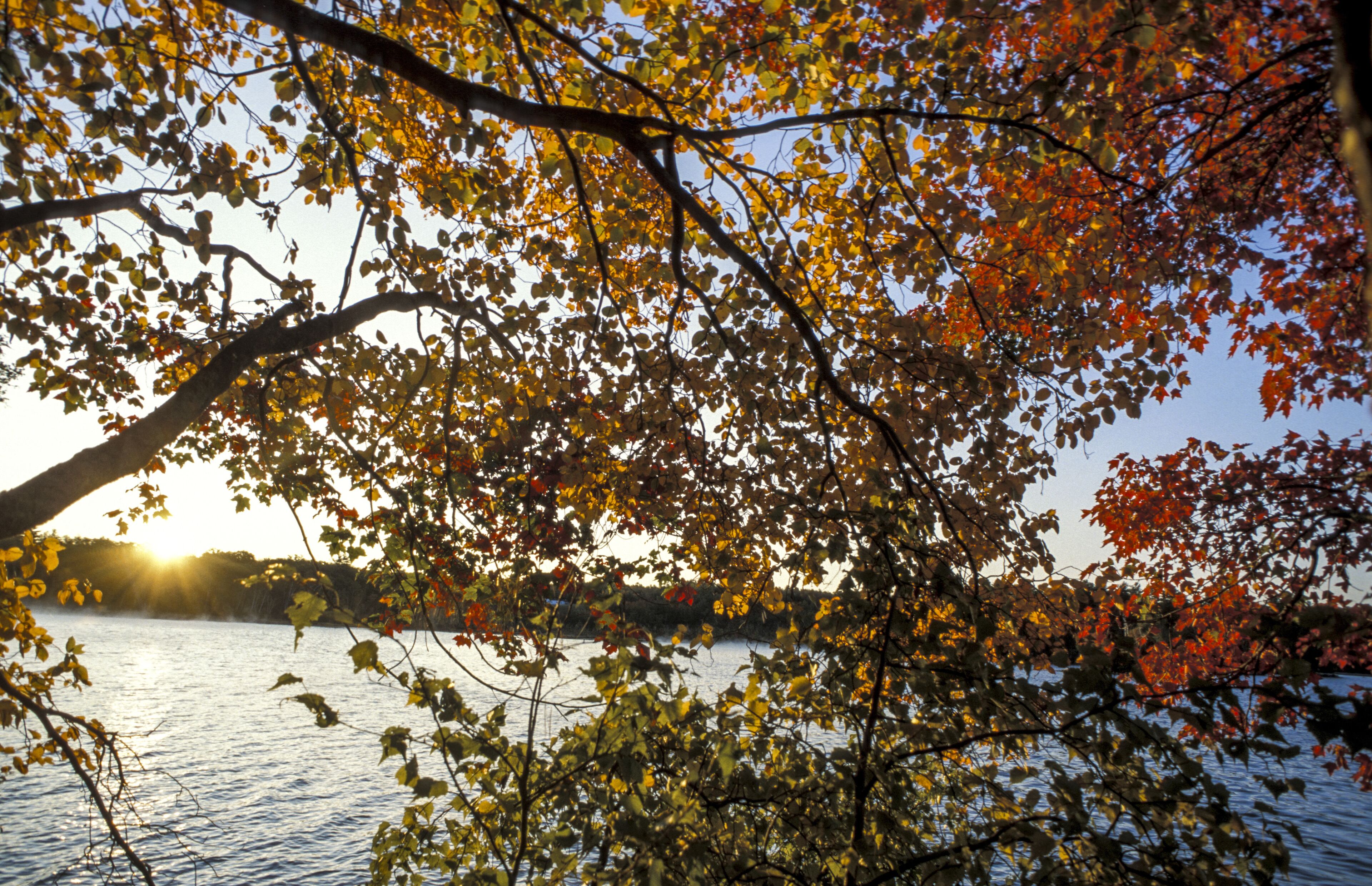 Daybreak at lake, United States, Maine, Oakland