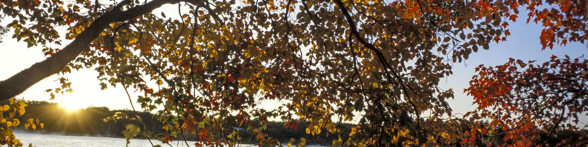 Daybreak at lake, United States, Maine, Oakland