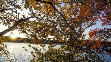Daybreak at lake, United States, Maine, Oakland