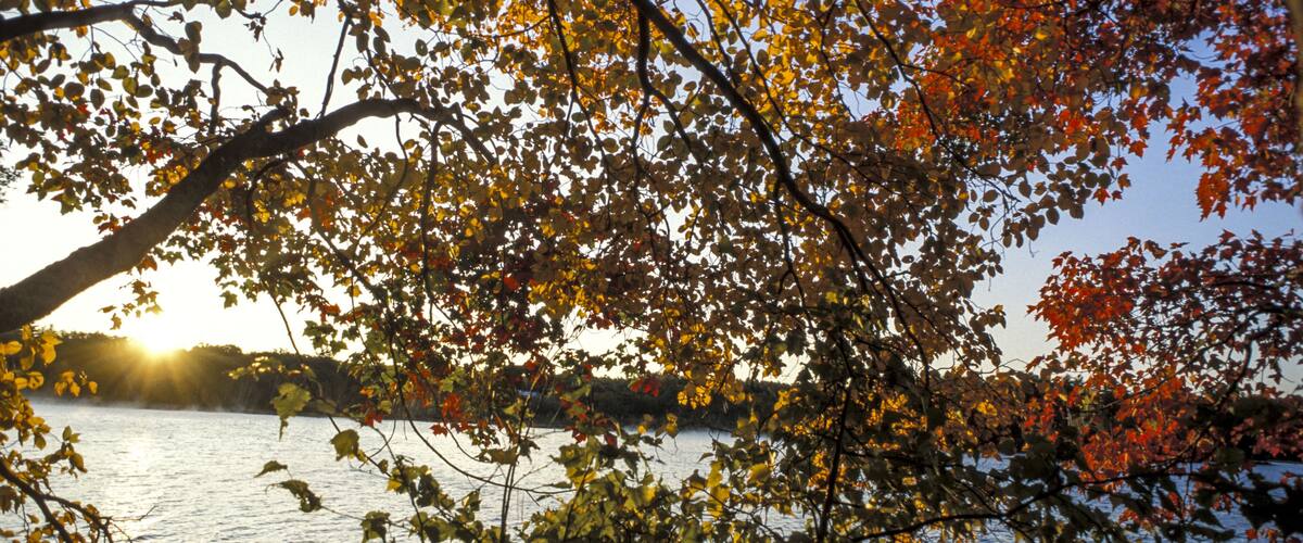 A lake surrounded by trees with autumn leaves.