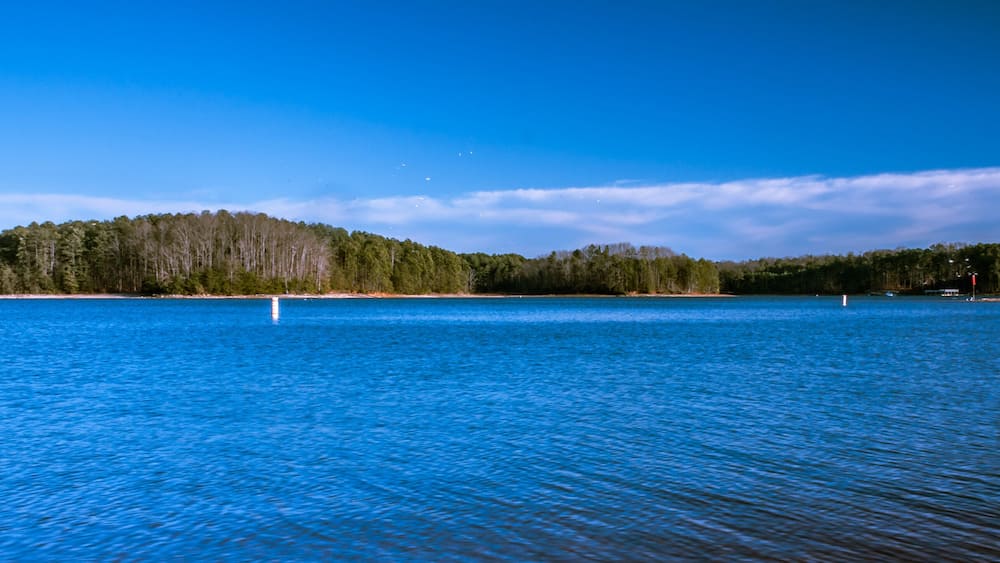 A calm lake with a forested island in the distance and a clear blue sky.