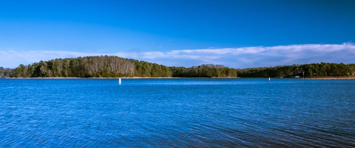 A calm lake with a forested island in the distance and a clear blue sky.