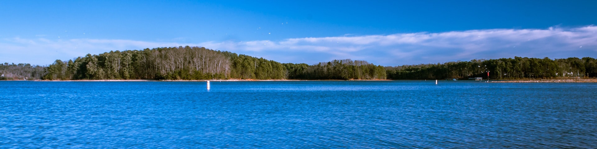 A calm lake with a forested island in the distance and a clear blue sky.