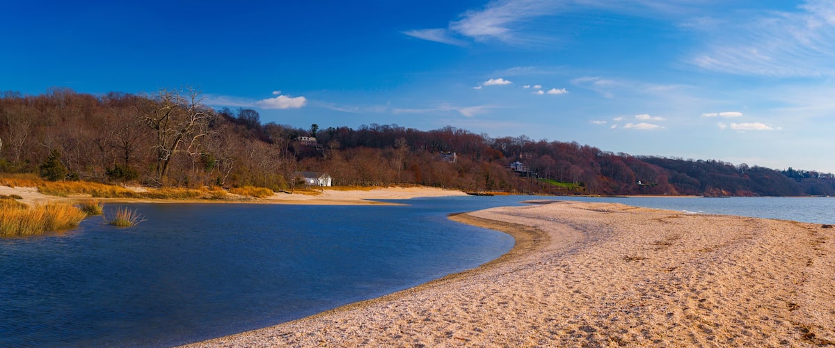 A sandy beach with a calm lake, surrounded by trees and a few buildings in the distance.