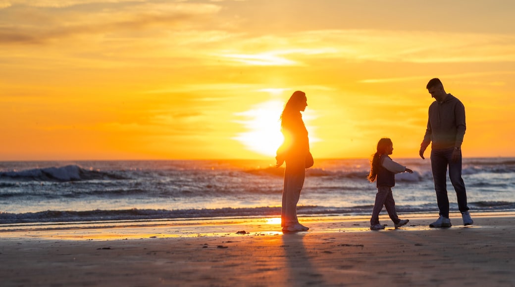 Family walking together on ocean beach at sunset