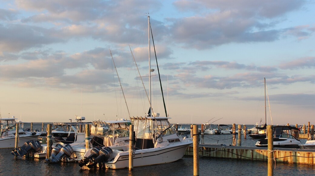 Pretty view of the boat slips on the bay at Ocean Beach.