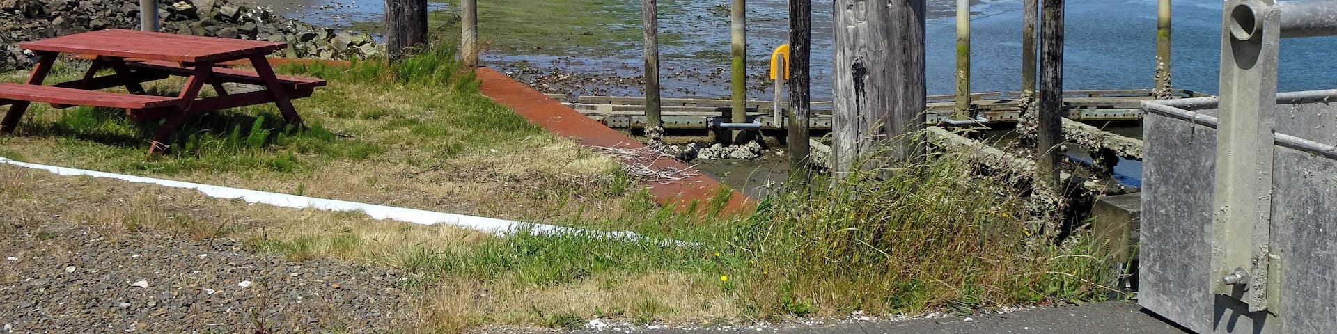 Oyster beds in the background for as far as your eyes can see in Ocean Park, Washington.