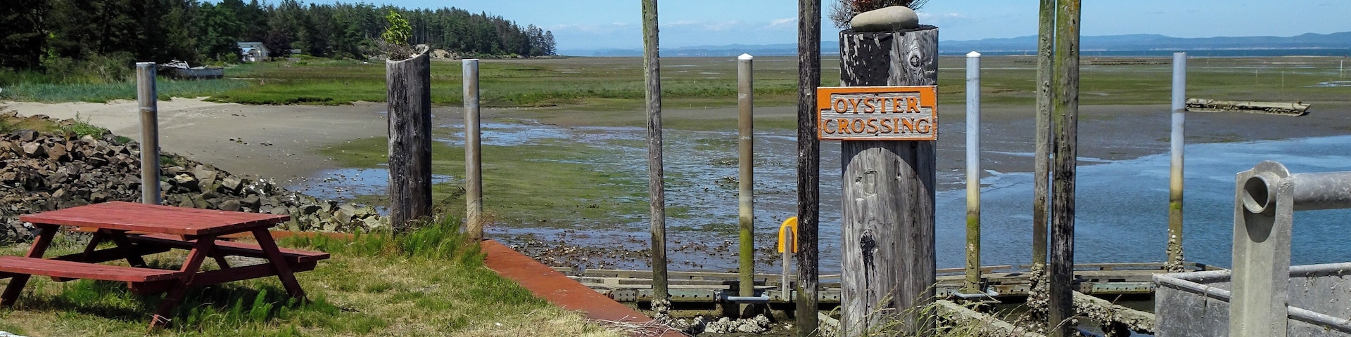 Oyster beds in the background for as far as your eyes can see in Ocean Park, Washington.