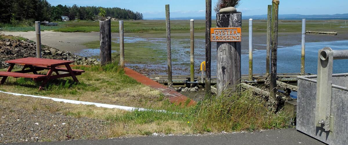 A picnic table and a sign indicating an oyster crossing.